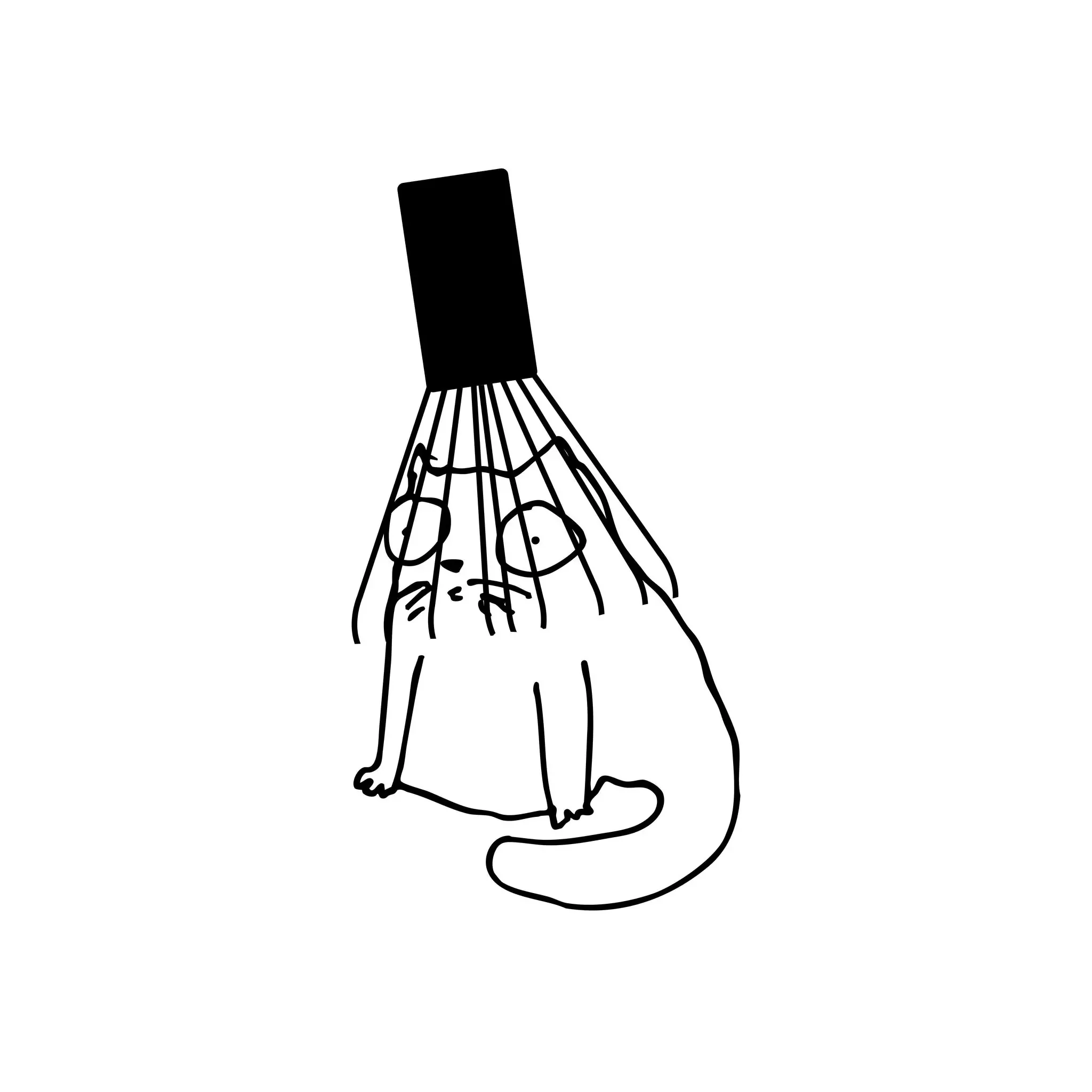 Yokiro Sample box - Image 8